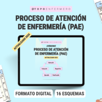Proceso de Atención de Enfermería PDF