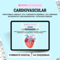 Esquemas Cardiovascular