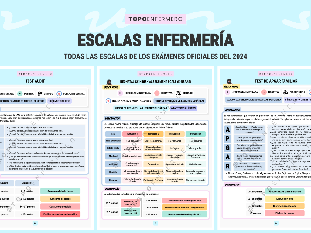 Ejemplo Escalas Enfermería